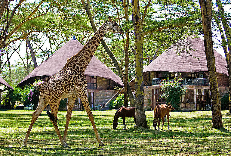  Days Adventure East Safari Vacation - Habibi World Travel & Tour Africa