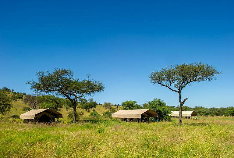  Tanzania  highlights safari  - Habibi World Travel & Tour Africa