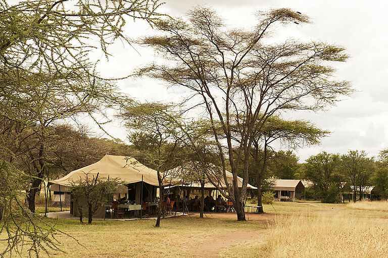  Days Adventure East Safari Vacation - Habibi World Travel & Tour Africa