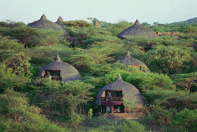  Tanzania Vacation-  https://habibi-world-travel-agency.com/- Habibi World Travel & Tour Africa