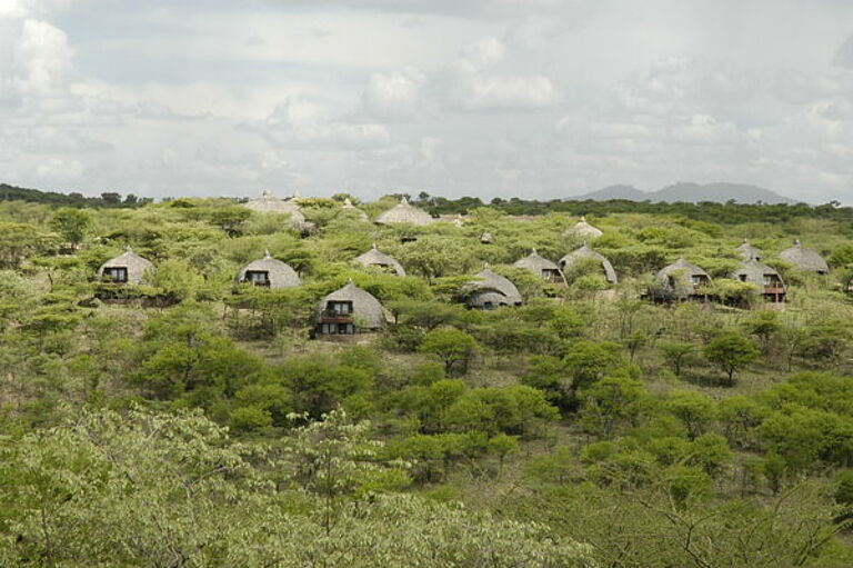  Tanzania Vacation-  https://habibi-world-travel-agency.com/- Habibi World Travel & Tour Africa