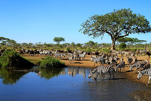 Lake Victoria - Serengeti National Park