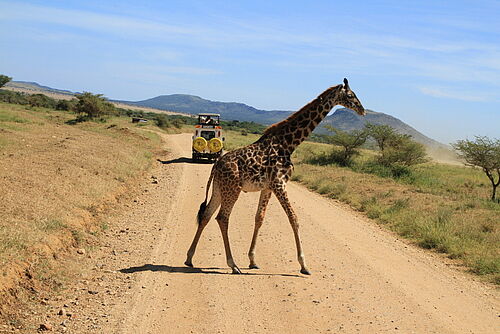 Serengeti National Park