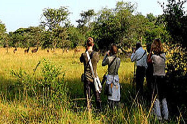 Safari Africa / Uganda