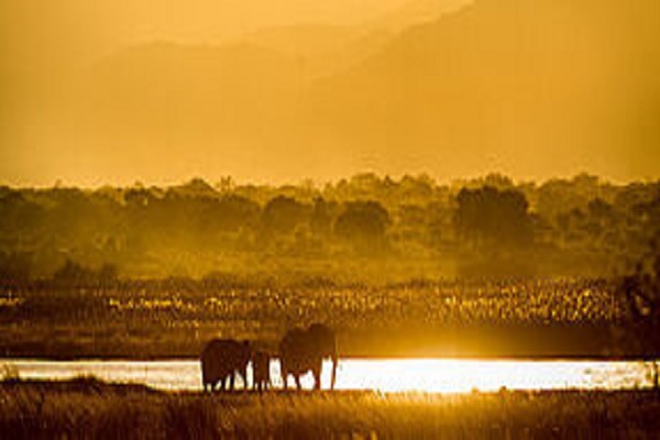 Safari Africa / Zimbabwe 