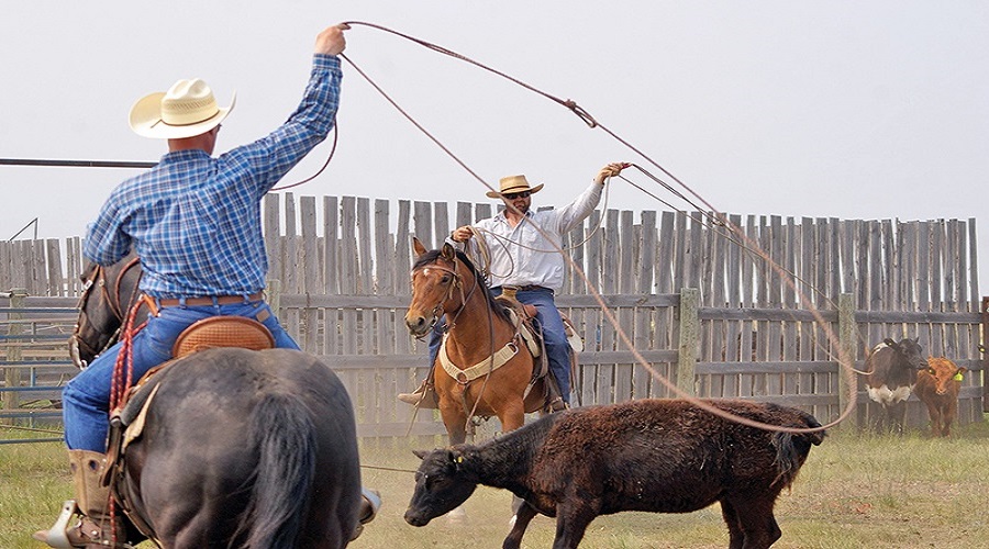 Ranch Cowboy School