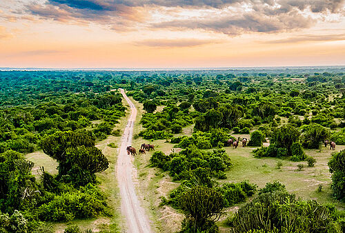 Fly- safari Uganda Tours https://habibi-world-travel-agency.com/ - Habibi World Travel & Tour Africa