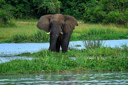 Murchison National Park