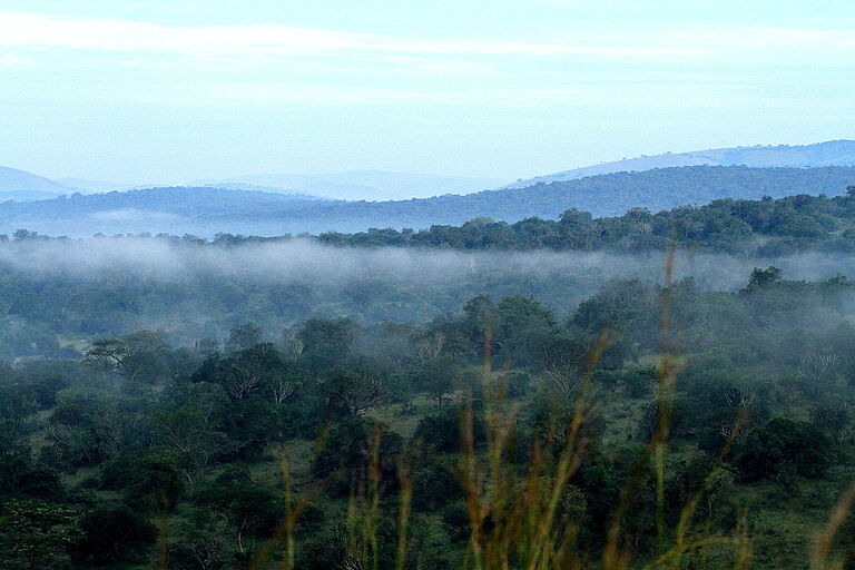 Zanzibar