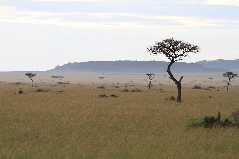 Masai Mara