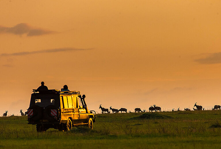  Masai National Reserve Vacation - Habibi World Travel & Tour Africa