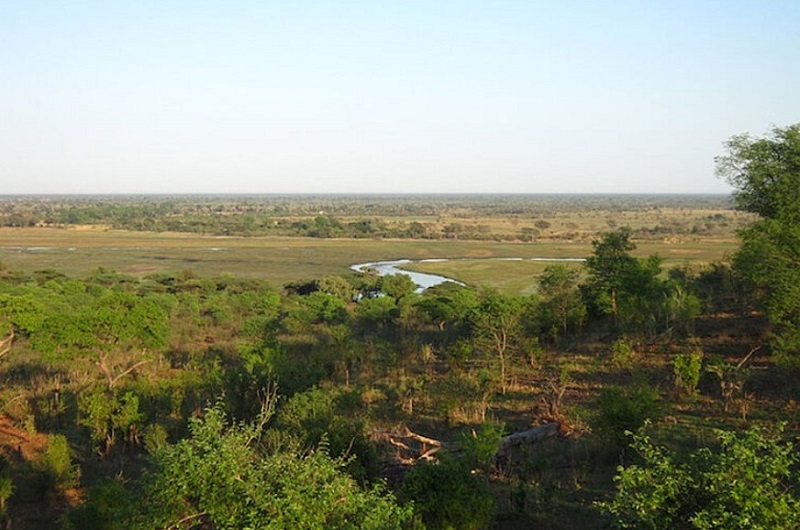 Africa-Botswana-Safari