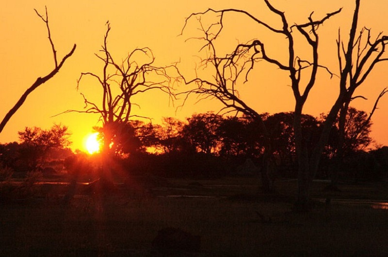 safari ends in Maun