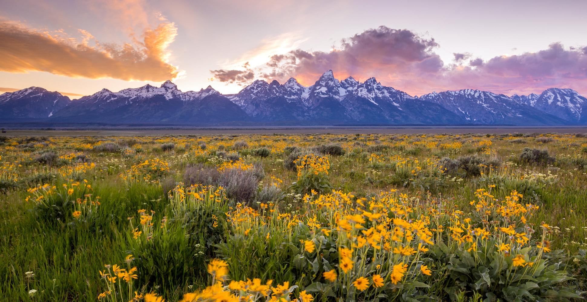  YELLOWSTONE AND GRAND TETON - Habibi World Travel & Tour America