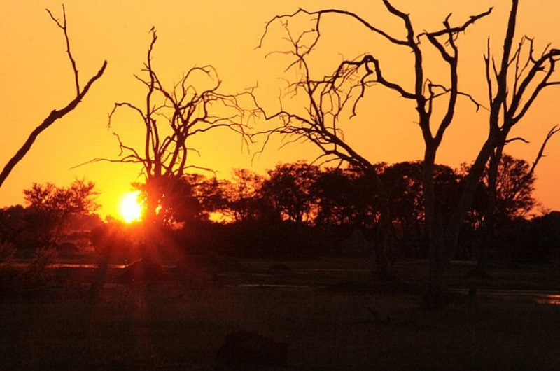 safari ends in Maun