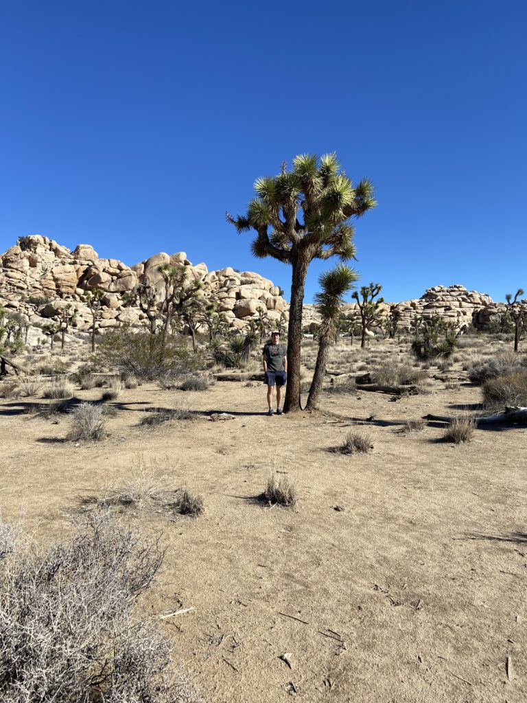 Family_Vacation_2.0/spencer-and-joshua-tree-768x1024.jpg