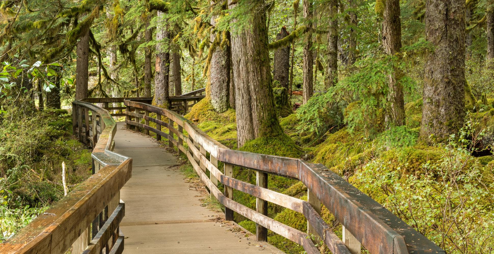  GLACIER BAY AND THE INSIDE PASSAGE Vacation - Habibi World Travel & Tour ALASKA