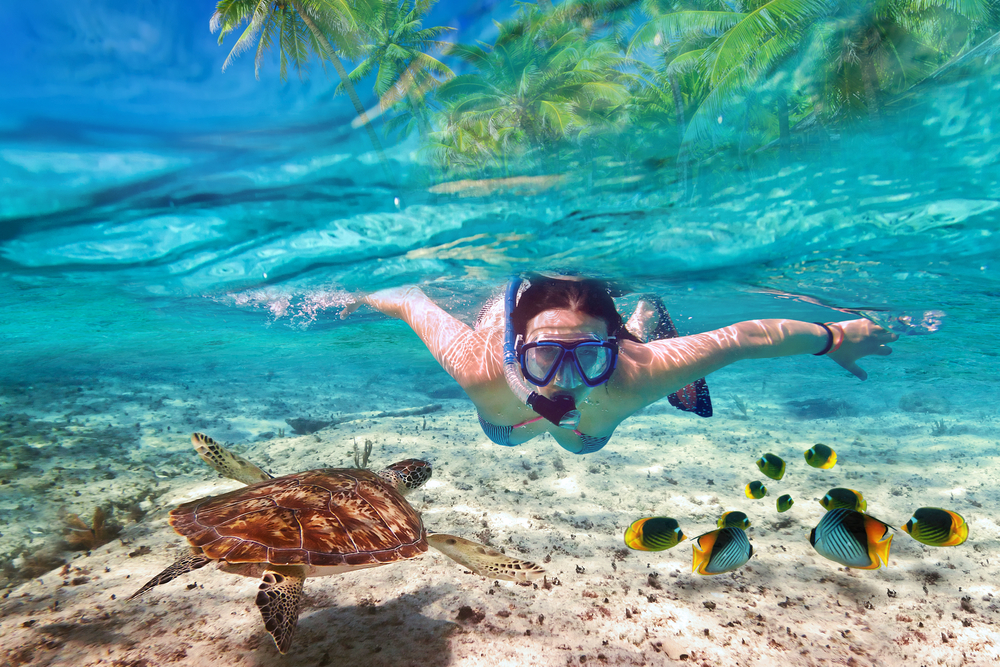 Habibi World Travel and Tour  Isla Mujeres