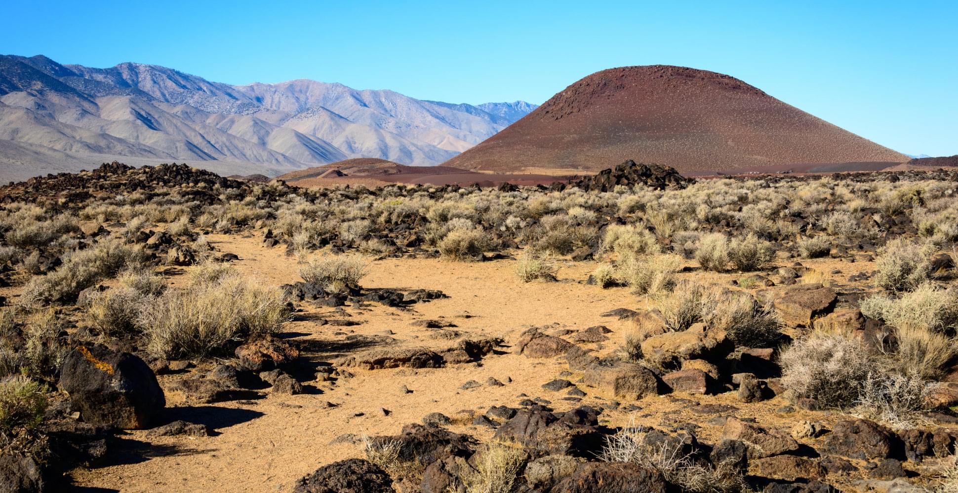  Joshua Tree and Death Trip USA - Habibi World Travel & Tour America