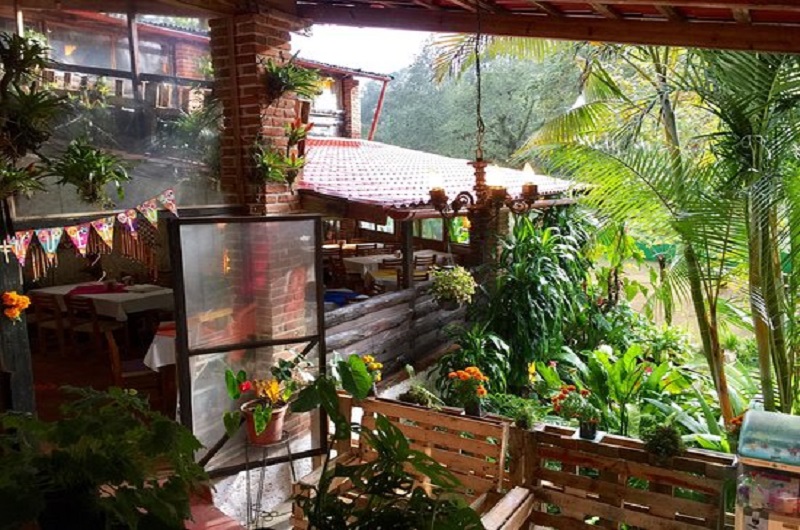 Magico Coatepec-  Incredible journey - https://habibi-world-travel-agency.com/ 