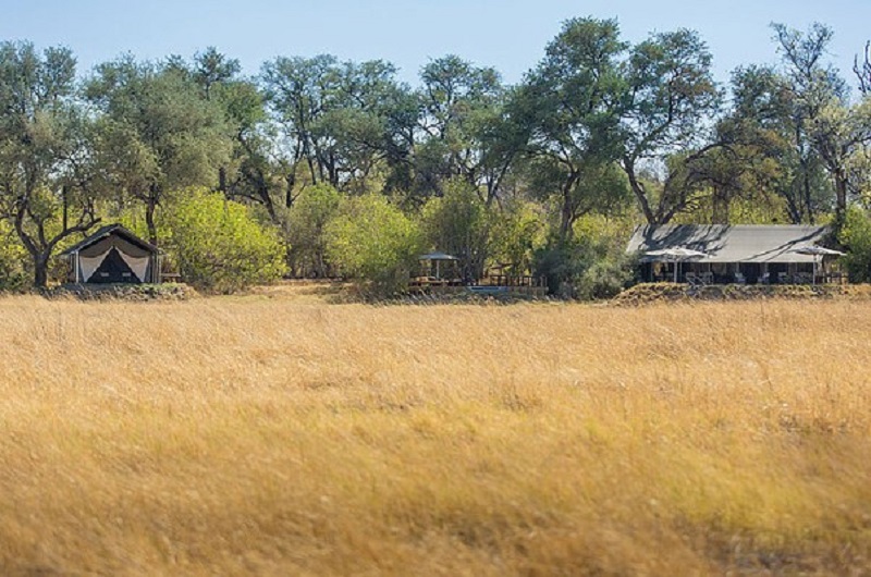 Botswana Family Superior Safari Safari https://habibi-world-travel-agency.com - Habibi World Travel & Tour Africa