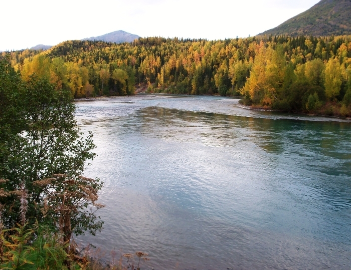 Yellowstone