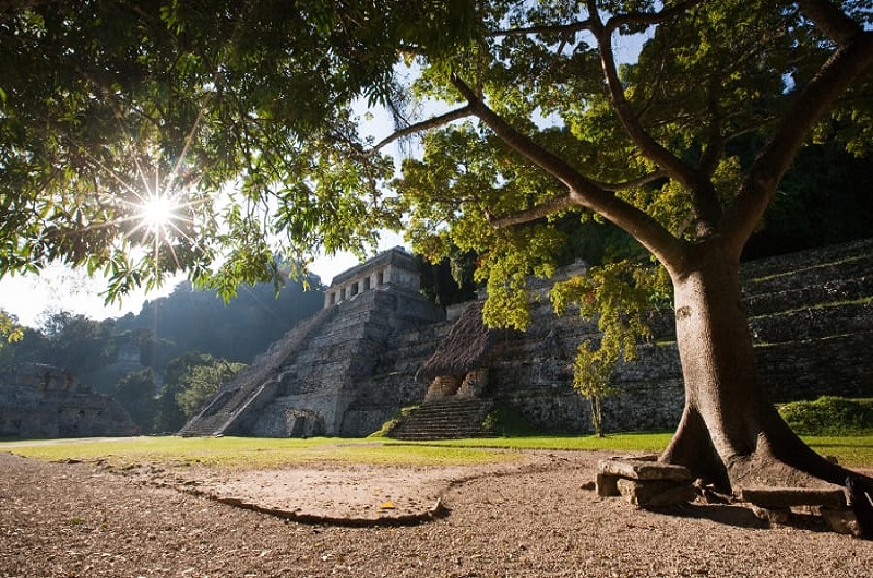 Habibi World Travel and Tour Palenque temple