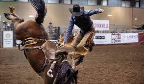  Rodeo Trip USA - Habibi World Travel & Tour America