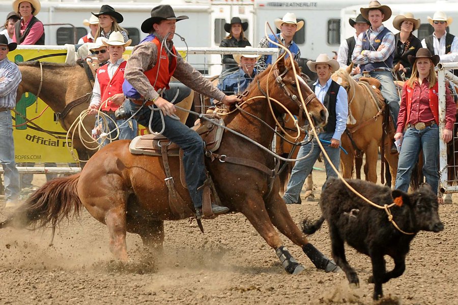  Rodeo Trip USA - Habibi World Travel & Tour America