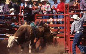  Rodeo Trip USA - Habibi World Travel & Tour America