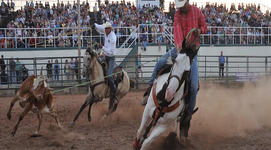  Rodeo Trip USA - Habibi World Travel & Tour America