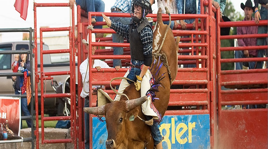  Rodeo Trip USA - Habibi World Travel & Tour America