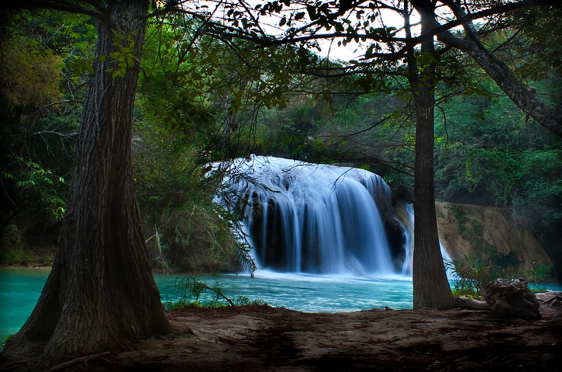 Footsteps of the Aztecs and Mayans https://habibi-world-travel-agency.com/