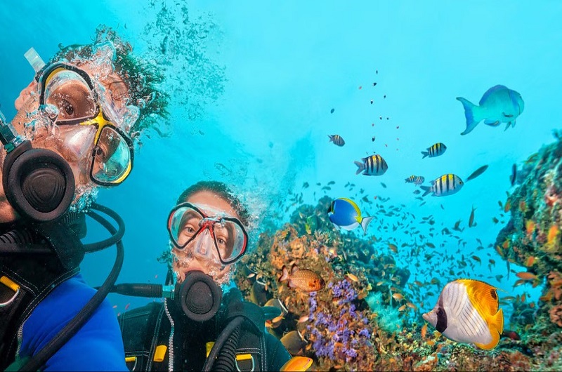 Scuba Diving In Dubai / Habibi World Travel & Tour