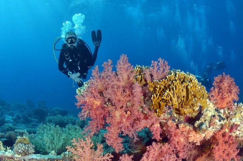 Scuba Diving In Dubai / Habibi World Travel & Tour