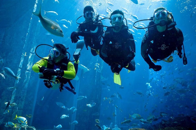 Scuba Diving In Dubai / Habibi World Travel & Tour