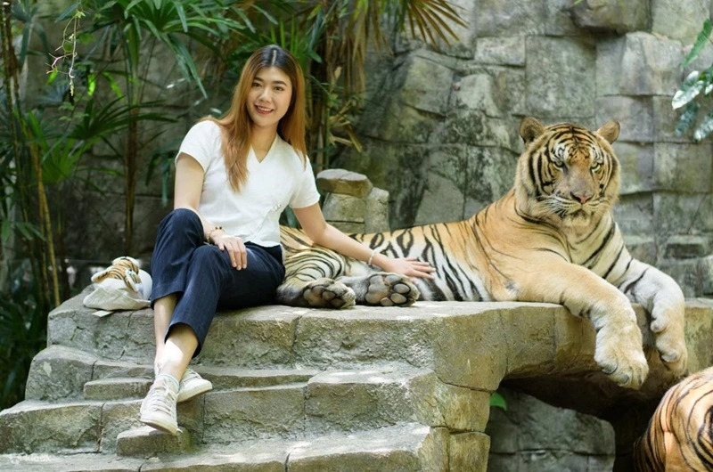 Chang Mai TIGER KINGDOM - Habibi World Travel and Tour - 12