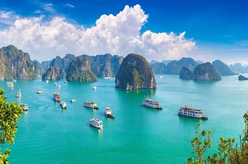 Vietnam From South To North 10 days - Habibi World Travel and Tour