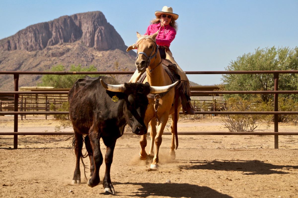  White Stallion Ranch - Habibi World Travel & Tour America