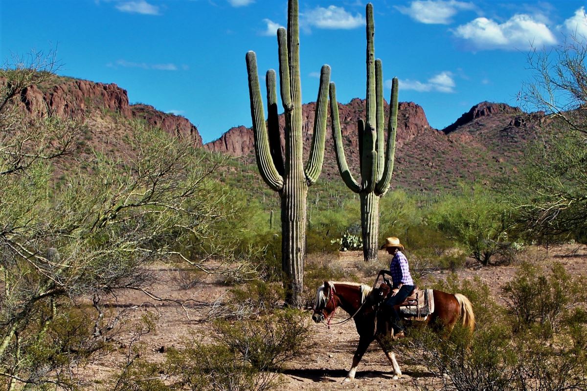  White Stallion Ranch - Habibi World Travel & Tour America