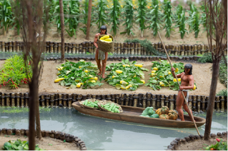 Xochimilco Floating Gardens