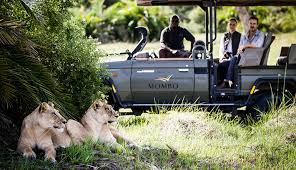 9 days Botswana Deluxe Safari  - Habibi World Travel & Tour Africa