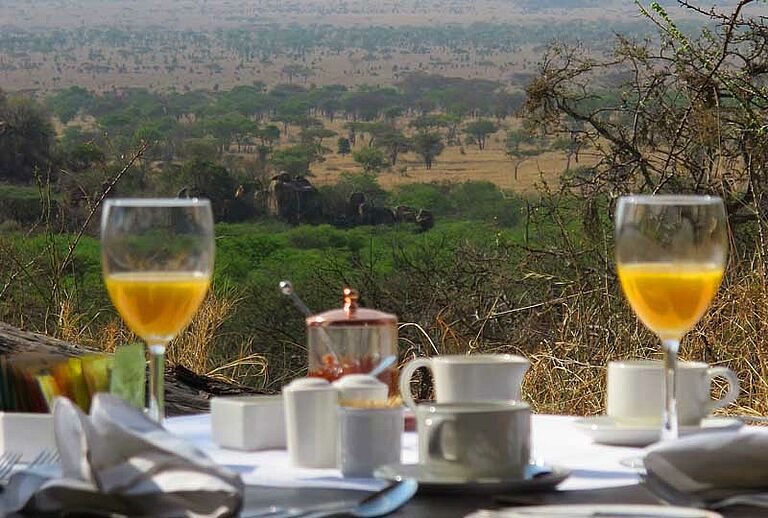  Elewana Safari -  luxury and elegance on safari - Habibi World Travel & Tour Africa