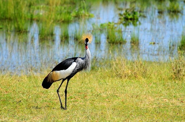 MBURU NATIONAL PARK